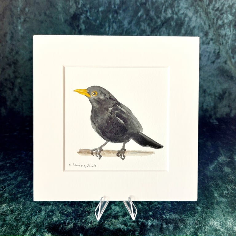 Blackbird - Original Watercolour Painting