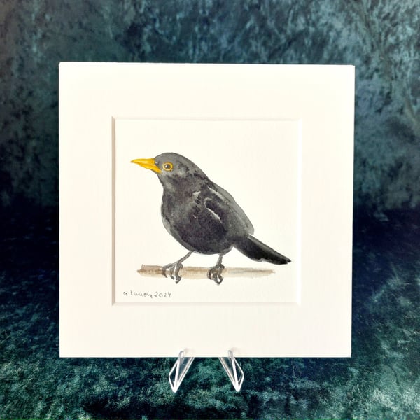 Blackbird - Original Watercolour Painting