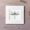 'Dragonfly Jewels' 5" x 5" Mounted Print