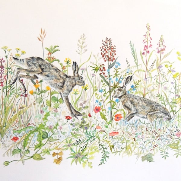 Hares in Meadow Blank Greeting Card from Original Watercolour & Pen