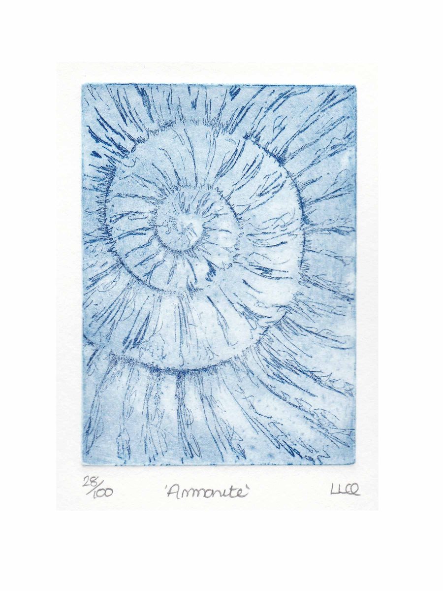 Etching no.28 of an ammonite fossil in an edition of 100