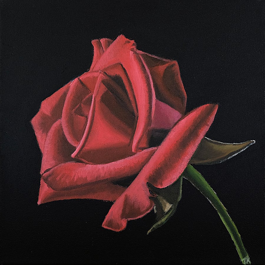 Red Rose Oil Painting