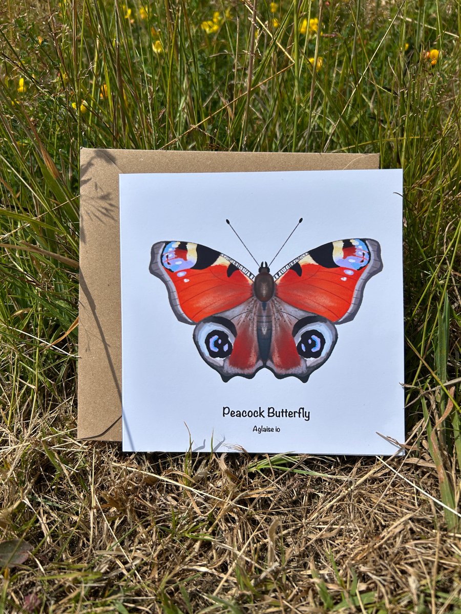 Peacock Butterfly Card