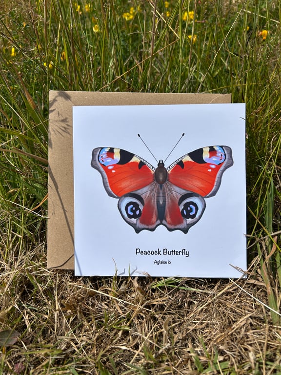 Peacock Butterfly Card