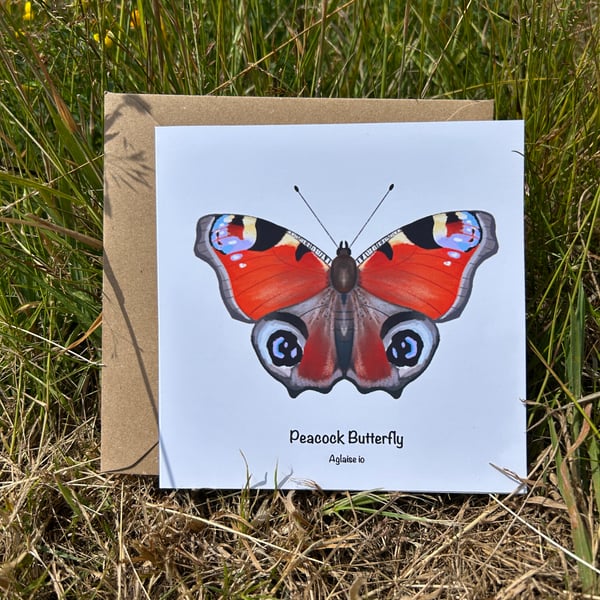 Peacock Butterfly Card