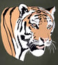 Watchful Tiger - Original Paper Cut - Image 3