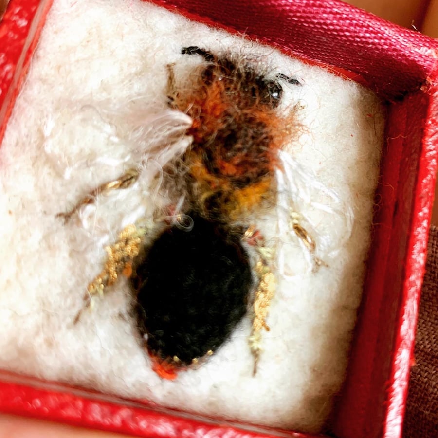 113d - Andrena haemorroa or Female Orange-tailed Mining Bee - bee art