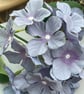 Blue and purple shades single hydrangea stem - Image 5