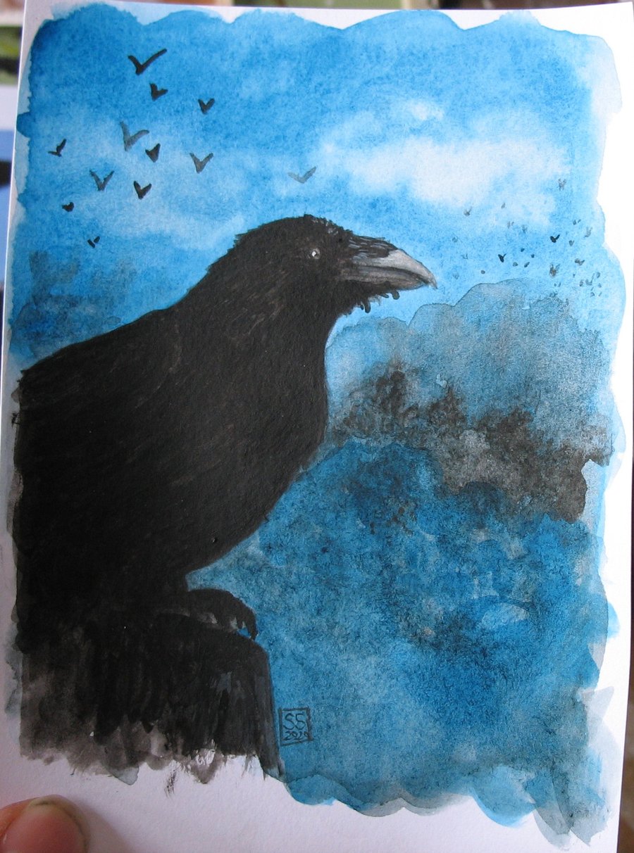 Pretty little raven watercolour illustration