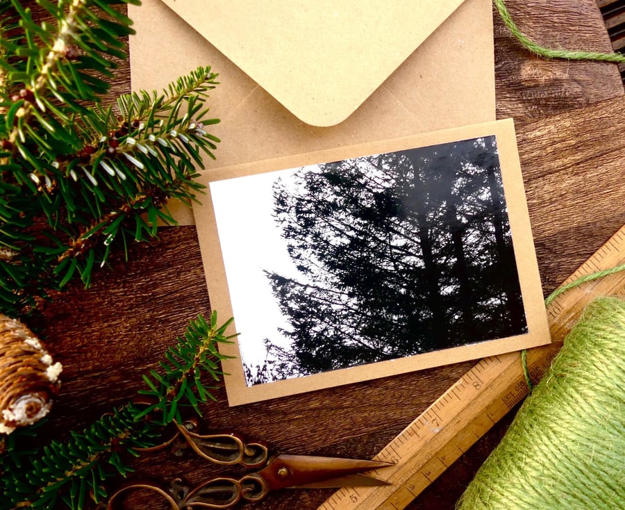 Pine Forest Cards - READY TO SHIP