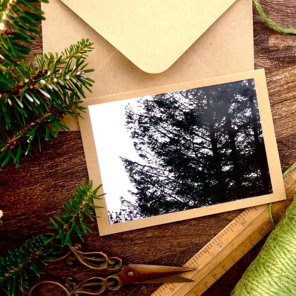 Pine Forest Cards - READY TO SHIP