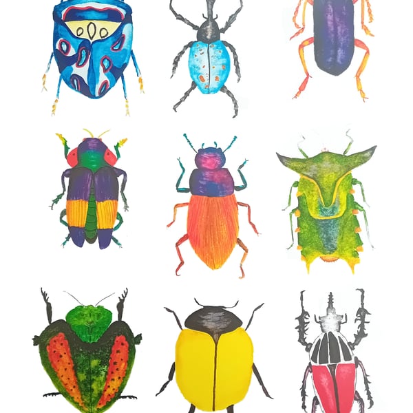 Wall of Bugs