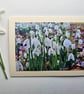 Pretty Little Snowdrops in the Woods Photo Card