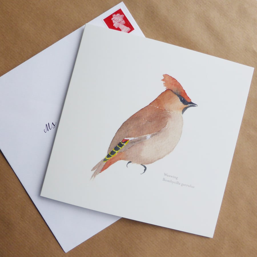 Waxwing square card
