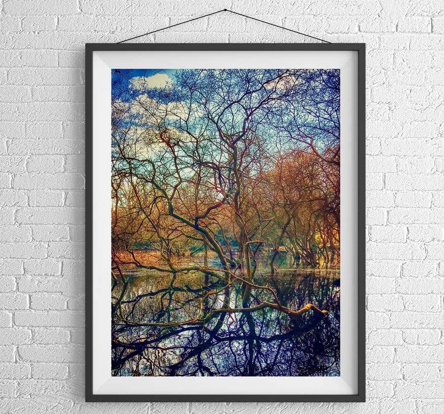 Reflection Photo, Trees in a Pond, Woodland Print, Kent, UK