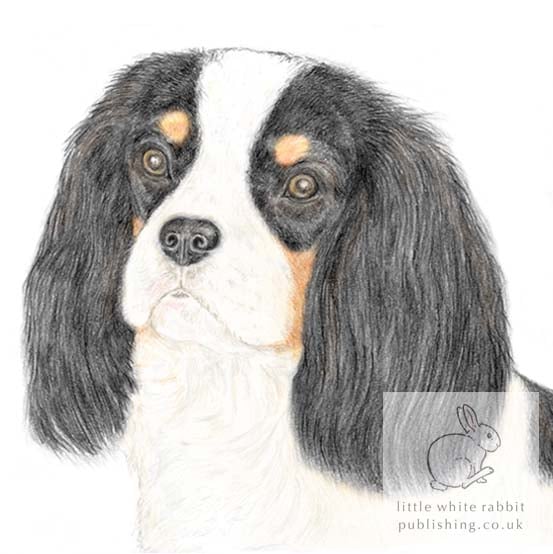 Dolly the Cavalier -  Blank Card