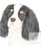 Dolly the Cavalier -  Blank Card - Image 1