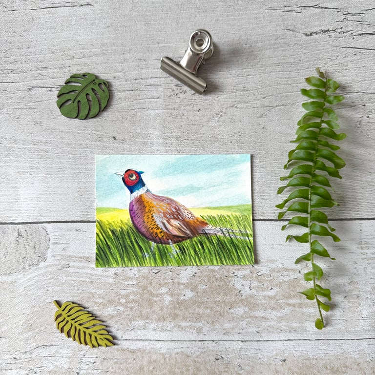 Pheasant Miniature Original ACEO painting - One of a kind