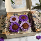 Cedarberry Comfort wax melt box 100 g