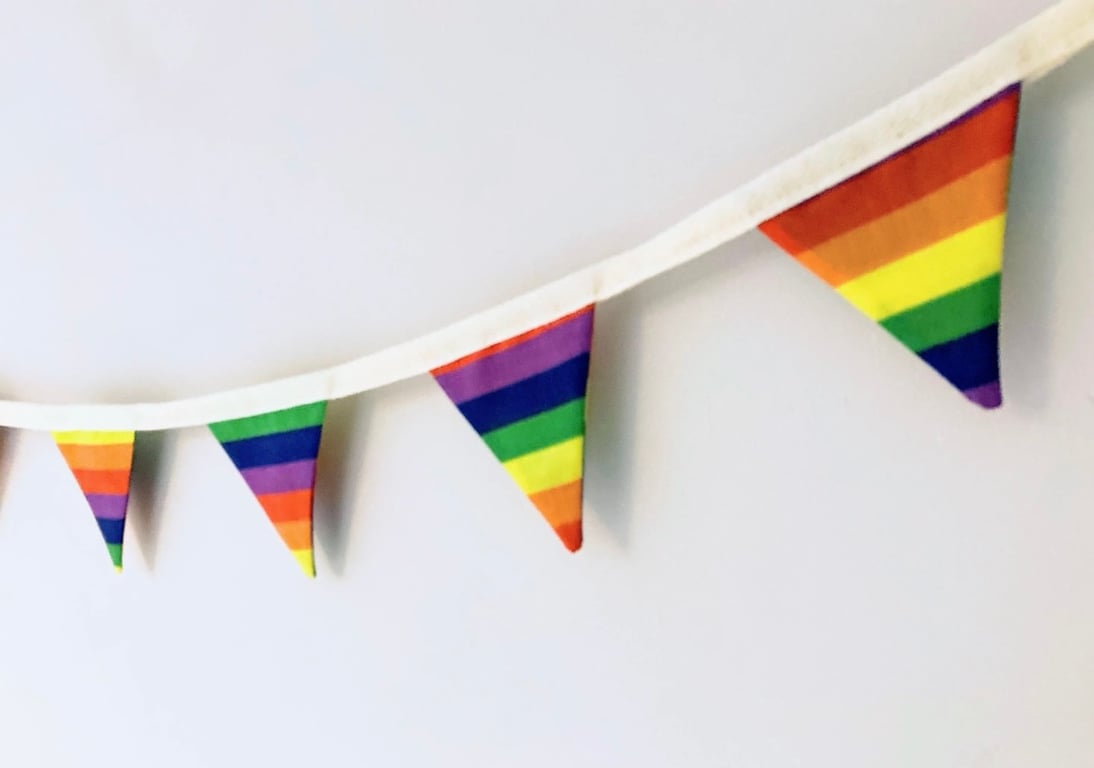 Rainbow Fabric Mini Bunting: 1 Meter plus ties.