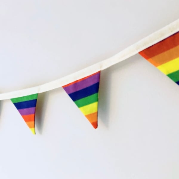 Rainbow Fabric Mini Bunting: 1 Meter plus ties.