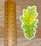 Green Oak Leaf Sticker - Image 3