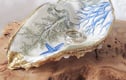 SHELL TRINKET DISHES