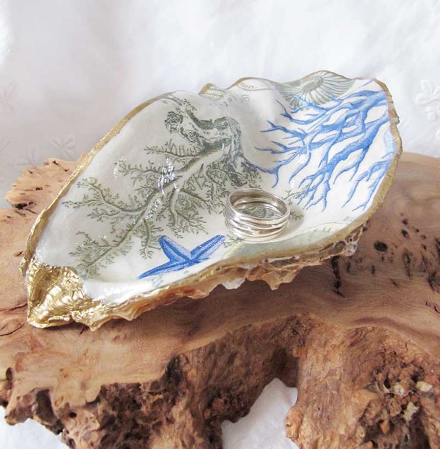 OYSTER SHELL TRINKET DISH CORAL AND SEA LIFE