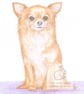 Polly the Chihuahua - Blank Card - Image 1