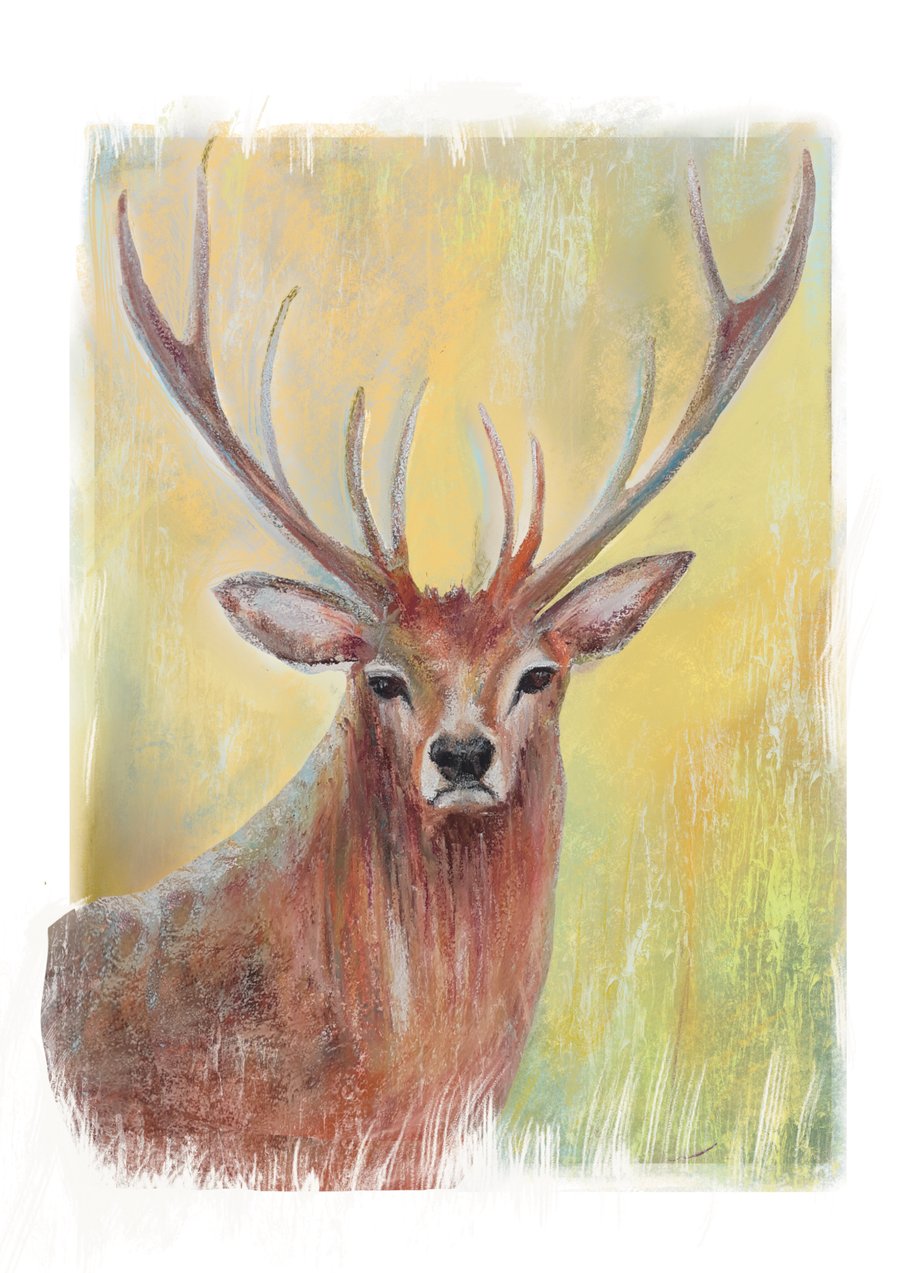 Fine art print Stag painting