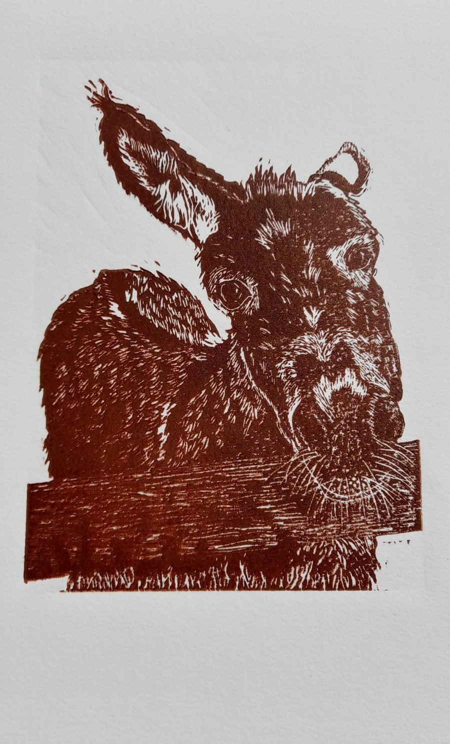 Hello Donkey lino print, original hand printed linocut