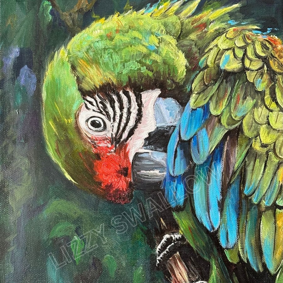 Parrot on a branch. Original artwork