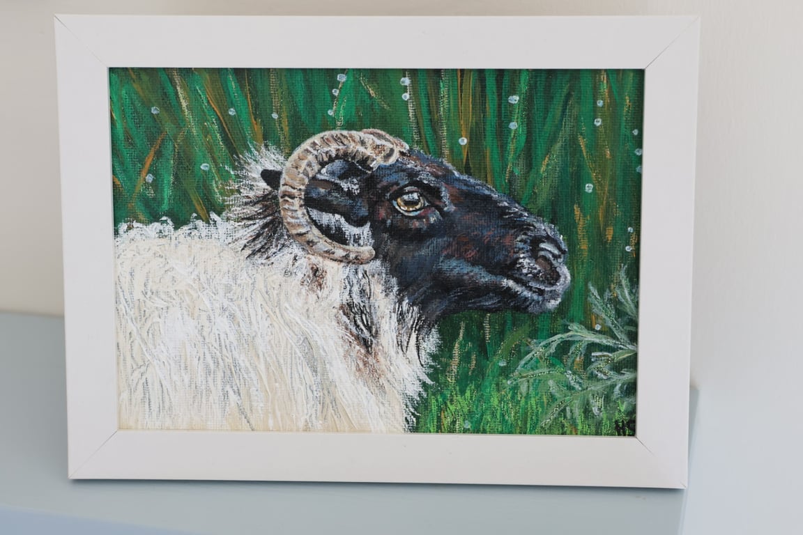 Fermanagh Sheep in Acrylics 