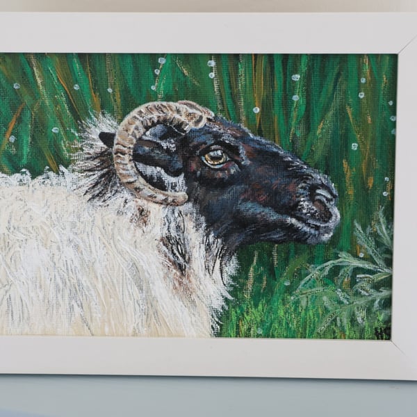 Fermanagh Sheep in Acrylics 