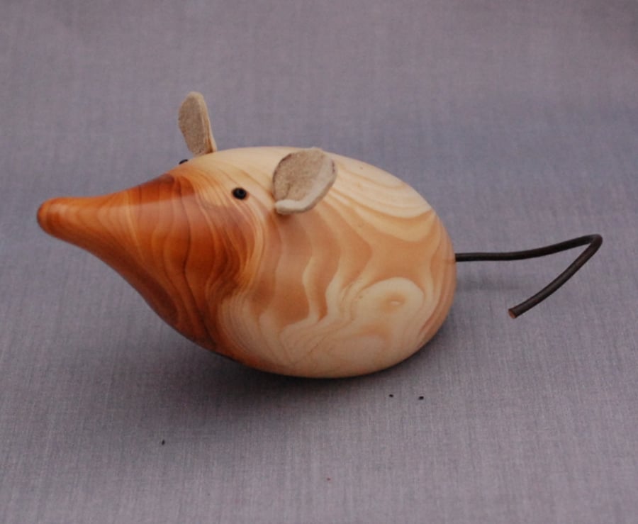 Momma Mouse Seeks New Abode