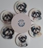 Set of 6 Shih Tzu Dog Coasters, Decoupaged Wooden Drink Mats