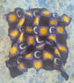 Sun and Moon, Celestial crochet blanket  - Image 4
