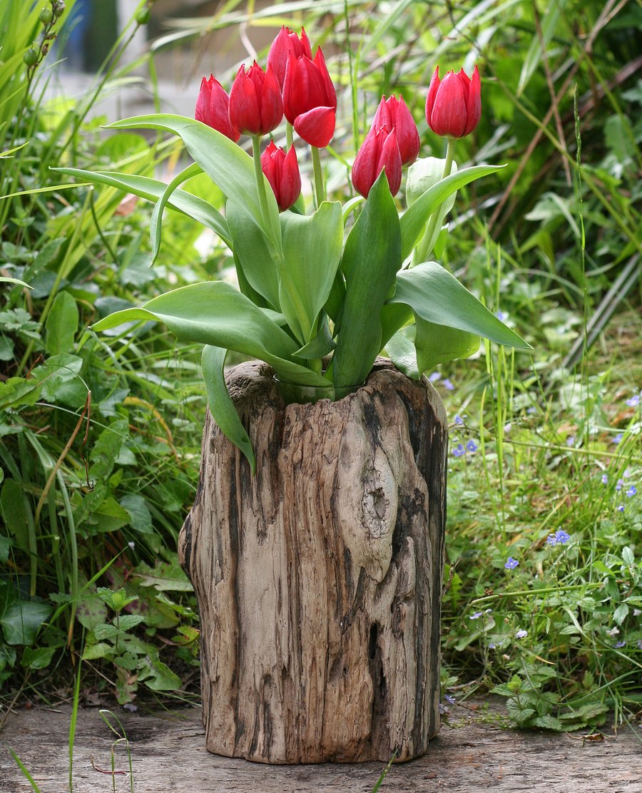 driftwood vase A