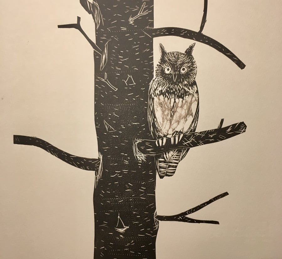 Long Eared Owl - lino cut 