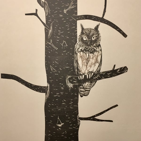 Long Eared Owl - lino cut 