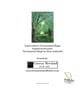Atmospheric Landscape Art Greetings Card-Scenic Woodland Glade-5x7 Blank Inside - Image 4