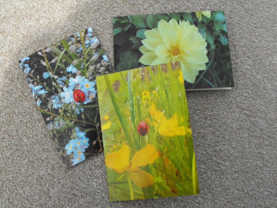 Pack of 3 nature themed greeting cards, with original photographed images