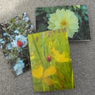 Pack of 3 nature themed greeting cards, with original photographed images