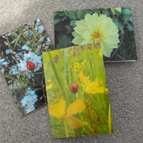 Pack of 3 nature themed greeting cards, with original photographed images