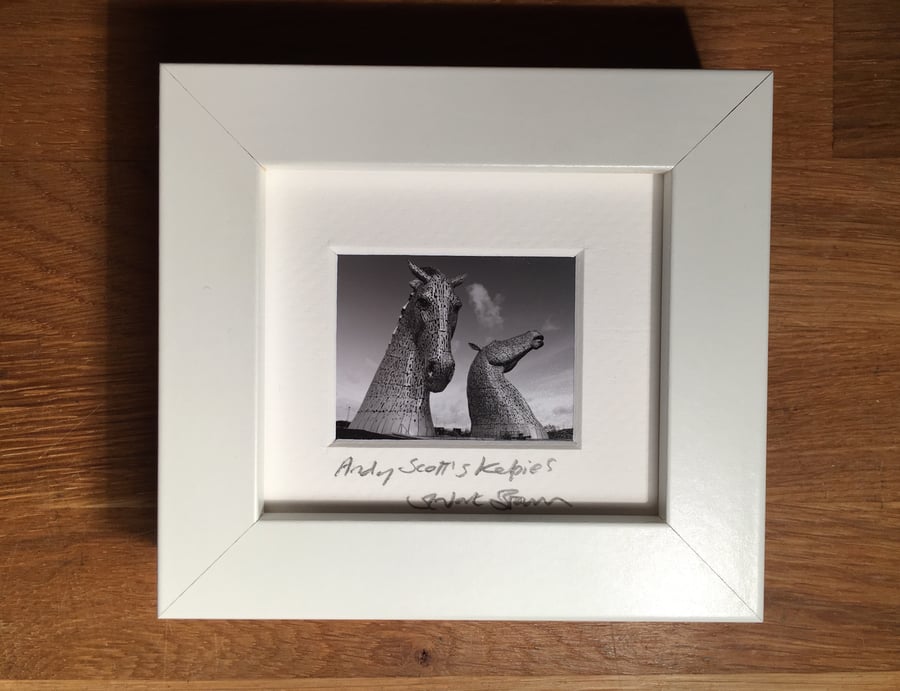 ANDY SCOTT'S KELPIES, FALKIRK  mini signed and framed print 