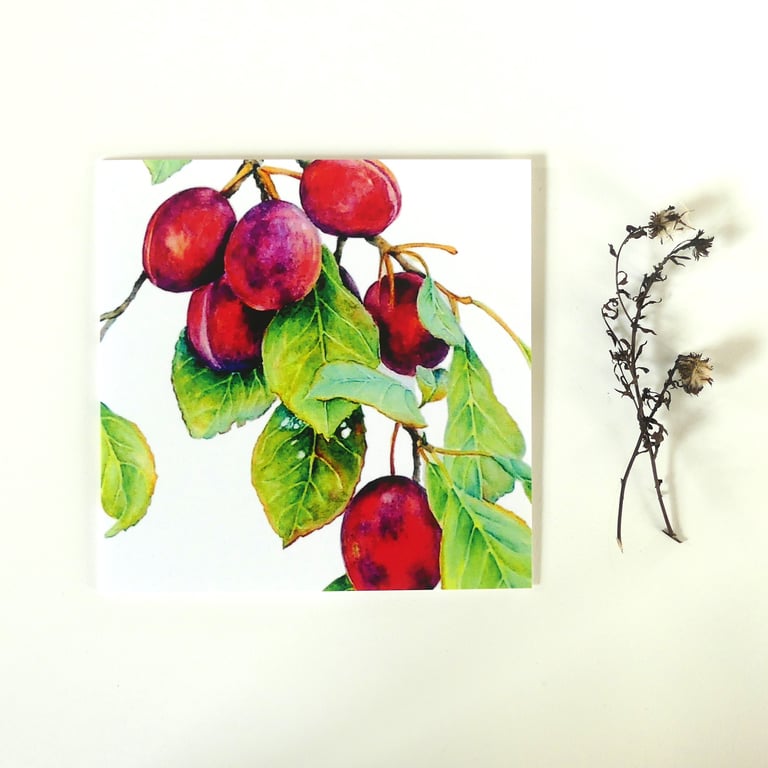 Plum Fruit Greeting Card from Original Watercolour Painting