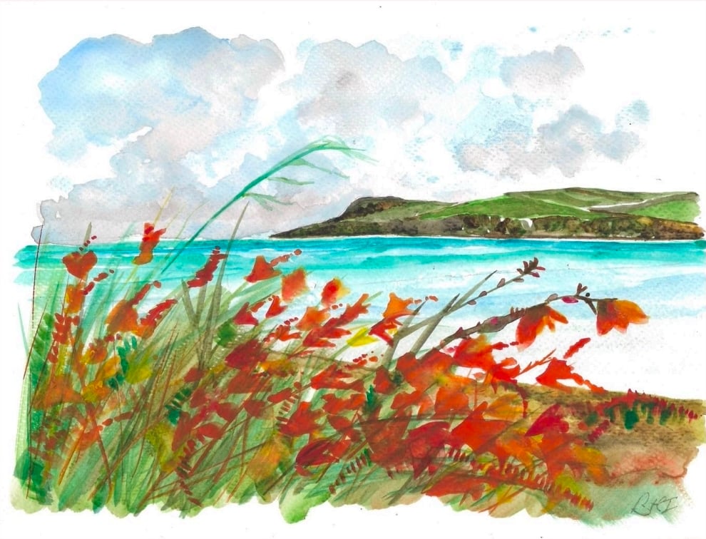 Crocosmia Coast original watercolour painting
