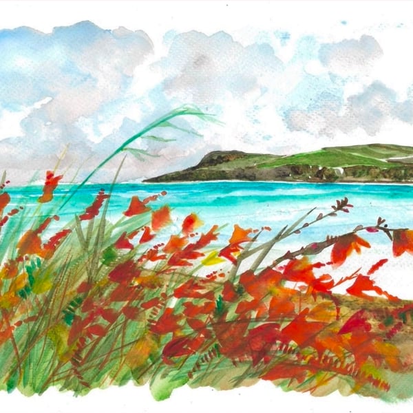 Crocosmia Coast original watercolour painting