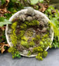 Moss Hand Woven Circular Wall Hanging - Image 1