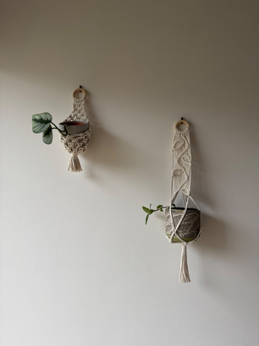 Image of Macrame Plant Hangers 2 Pack